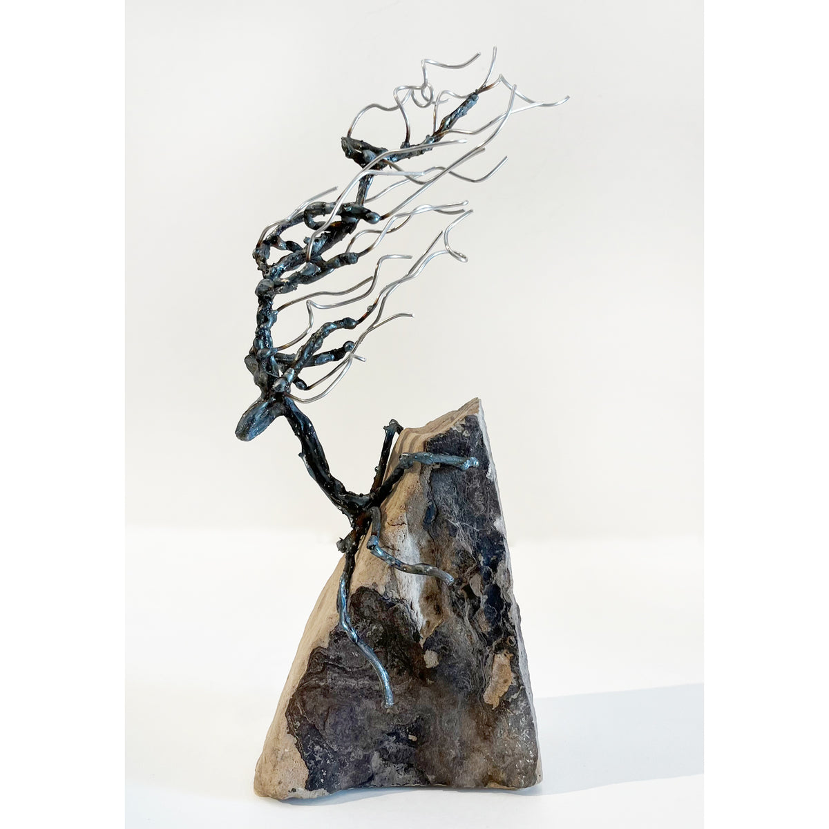 Floyd Elzinga - Windswept Tree in a Rock, 12" x 4" x 2.5"