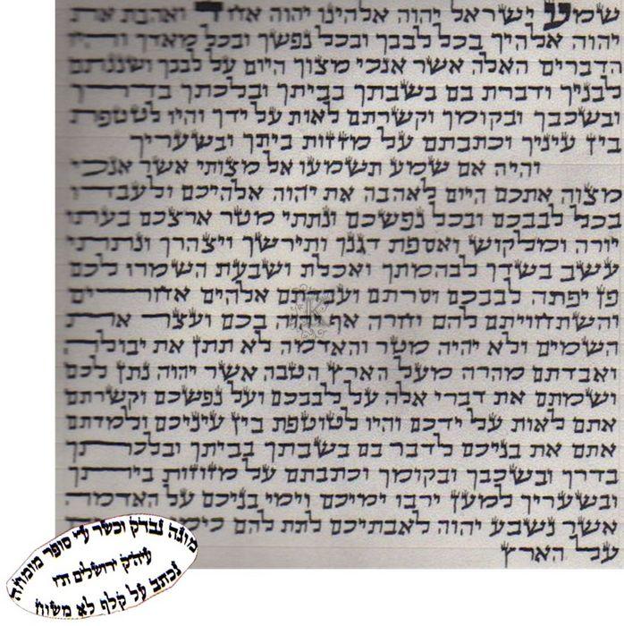 Large Kosher Scroll
