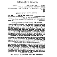 Robert Saslow - Alternative Reform 