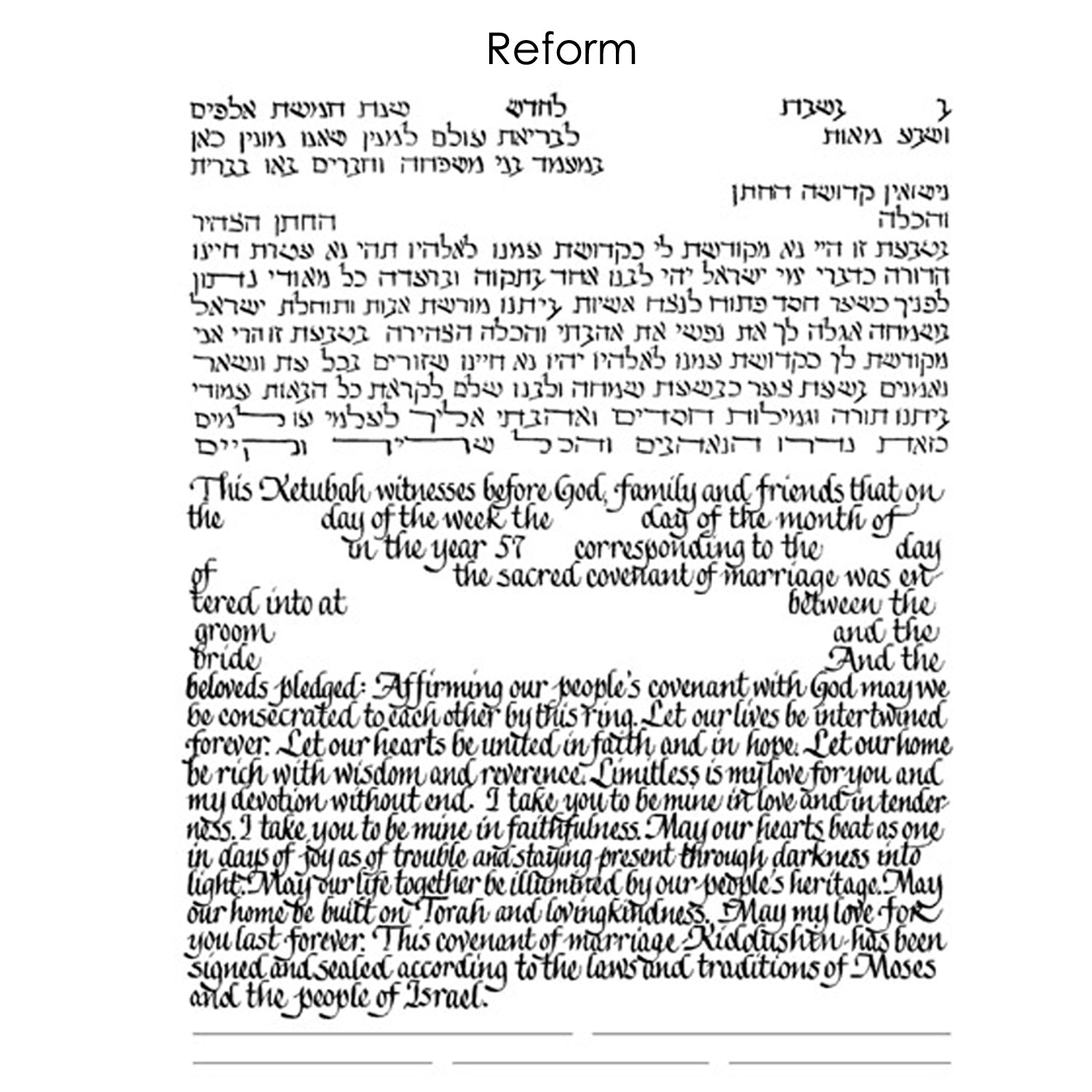 Robin Hall - Reform Text